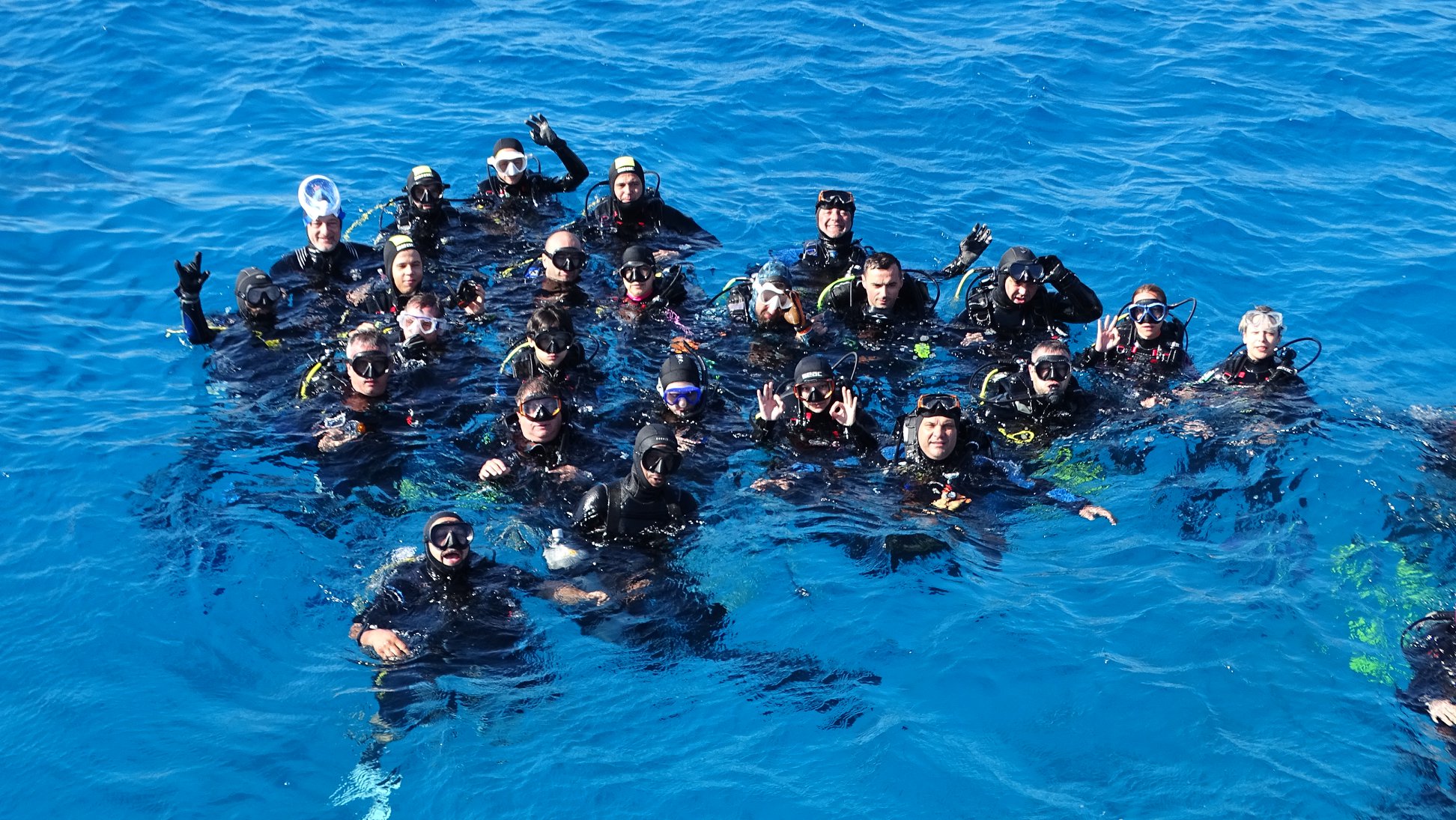 Safari scuba diving marine explorers 2019